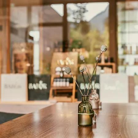 TRAUBE BRAZ Alpen Spa Golf Hotel-3